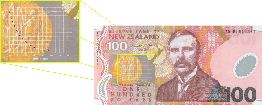 $100 New Zealand dollar note